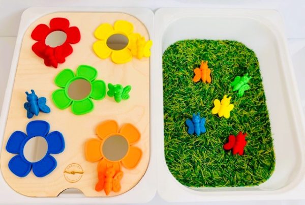 Gekleurde vlinders